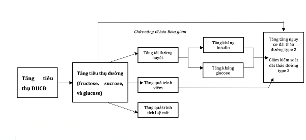 Tiêu thụ đường, đồ uống có đường ảnh hưởng đến Bệnh đái tháo đường như thế nào? - Ảnh 1.